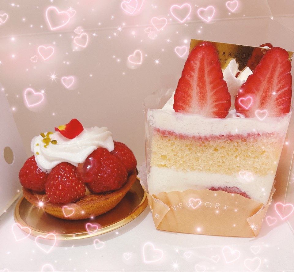 アップロード画像